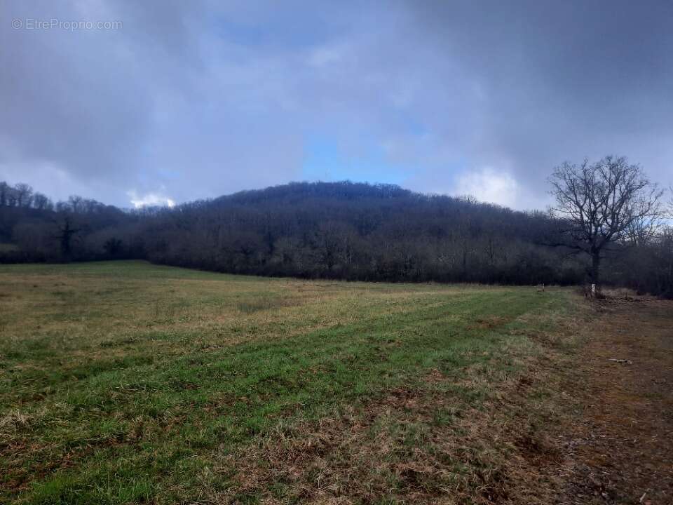 Terrain à LOUBRESSAC