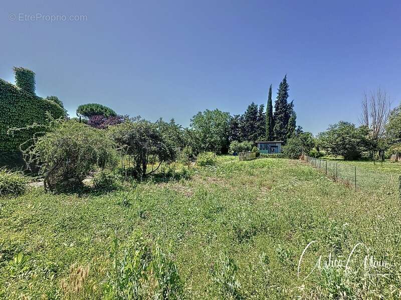 Maison à VILLEFRANCHE-DE-LAURAGAIS