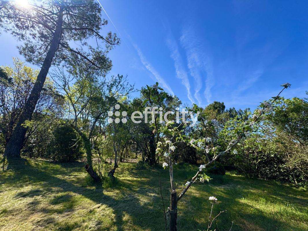 Terrain à LA TESTE-DE-BUCH