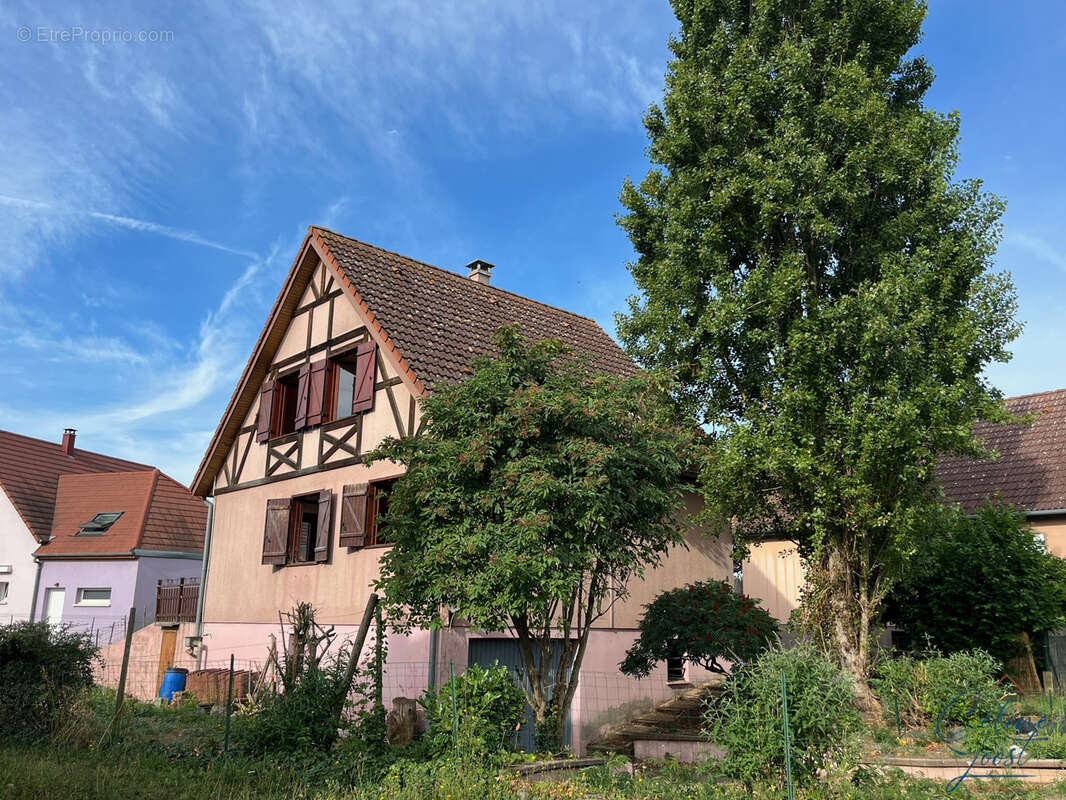 Maison à LOGELHEIM
