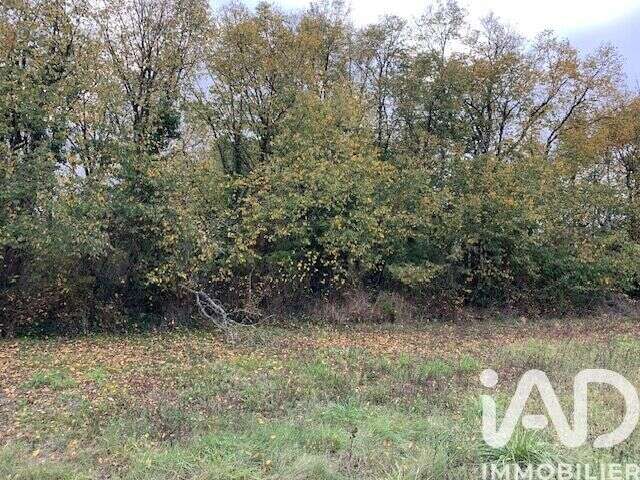 Photo 3 - Terrain à DOUE-LA-FONTAINE