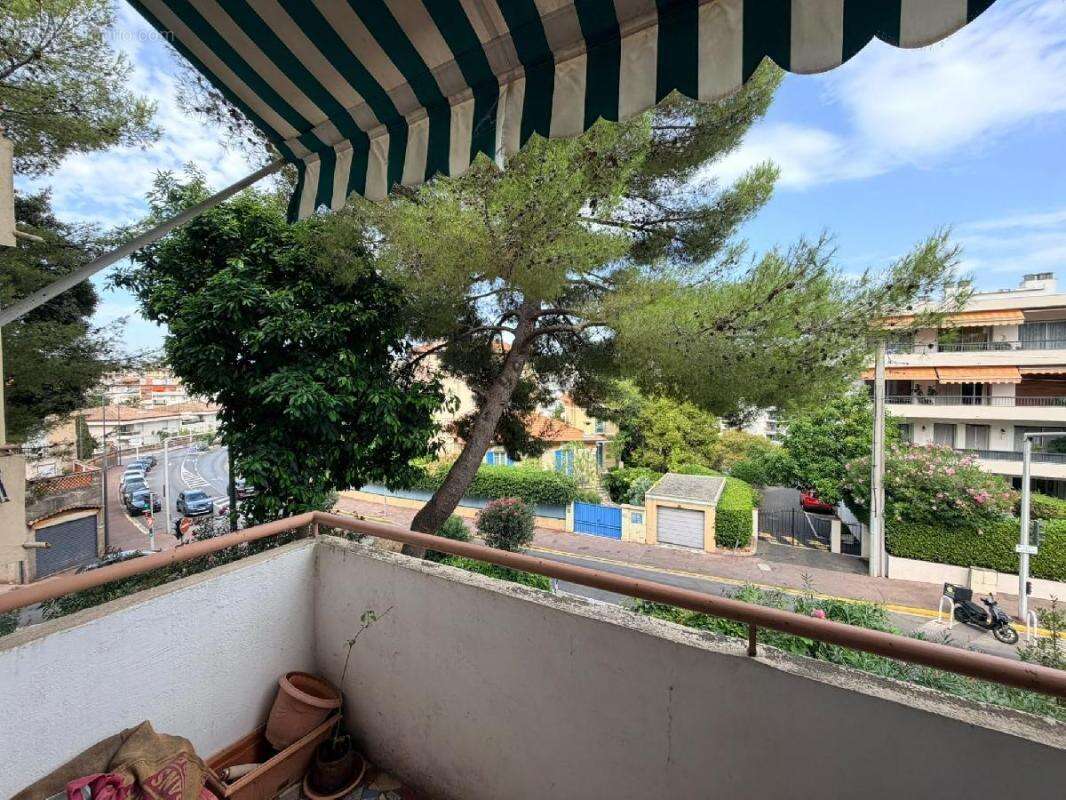 Appartement - photo 2