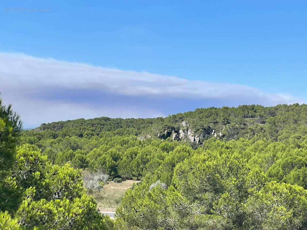 Appartement à FLEURY