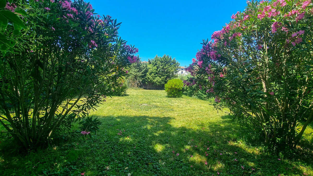 jardin - Maison à BELVEZE-DU-RAZES