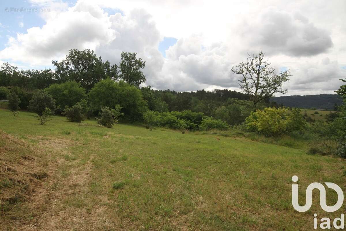 Photo 6 - Maison à LE BUGUE