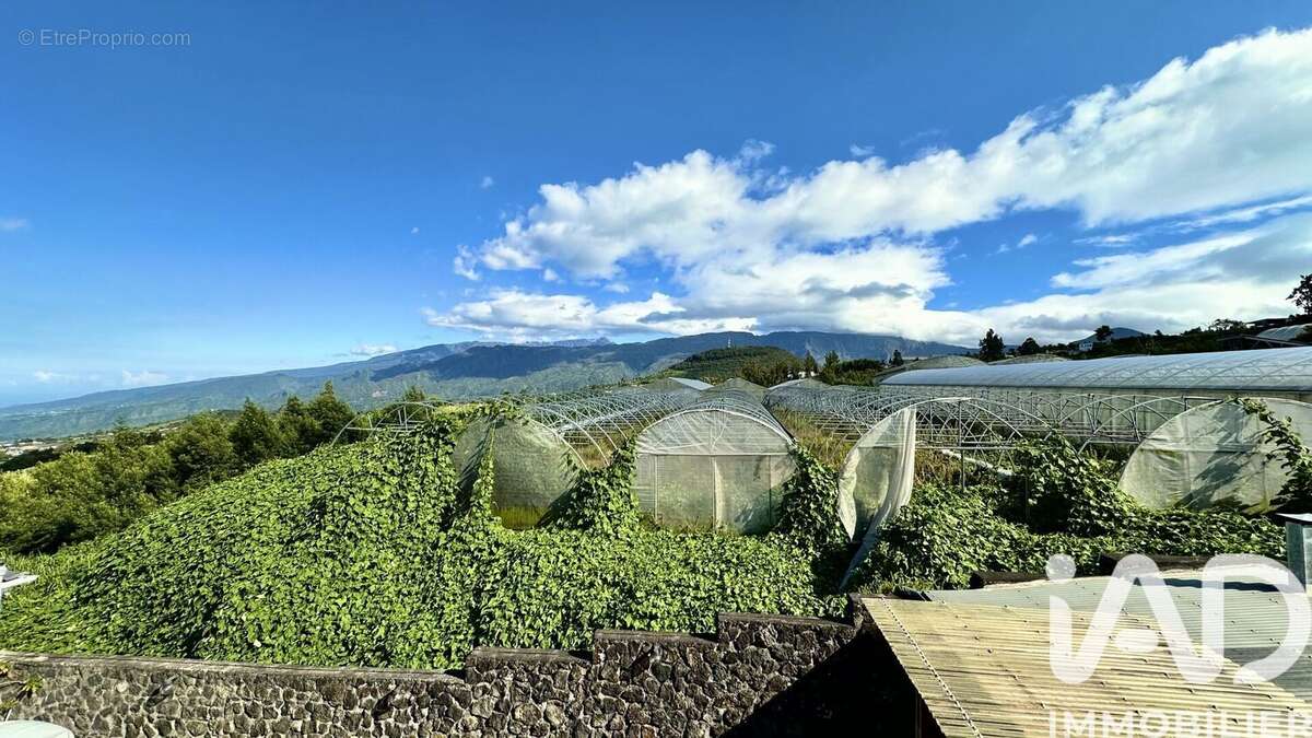 Photo 2 - Appartement à SAINT-PIERRE