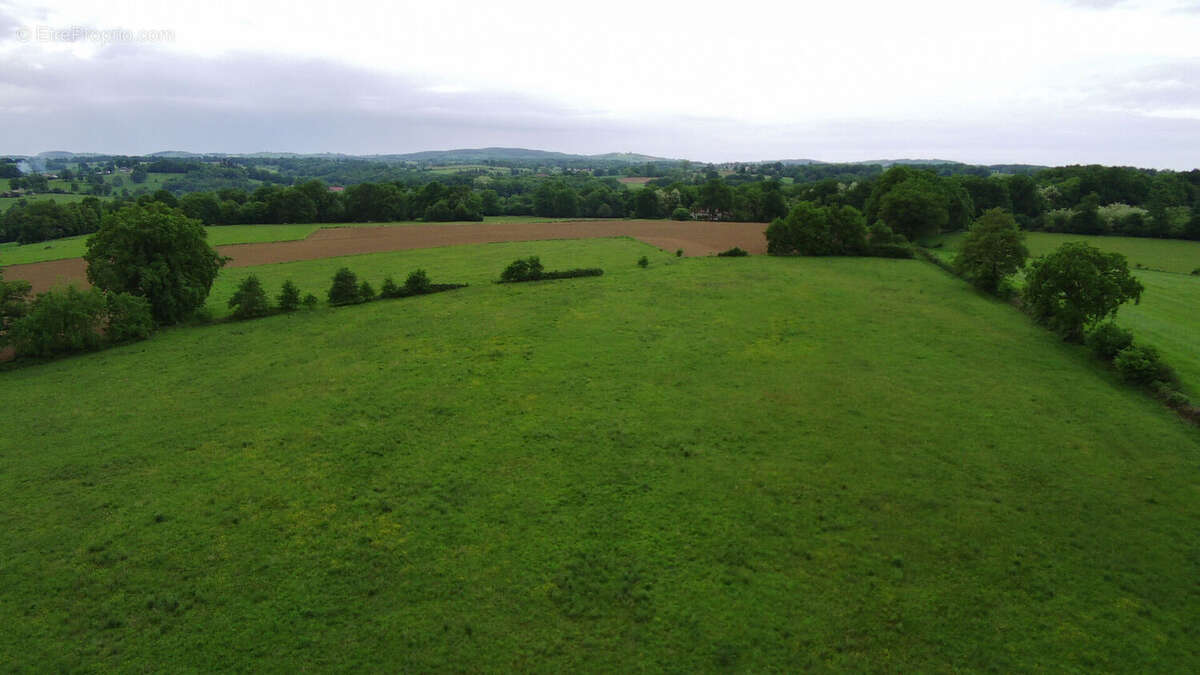 Terrain à SAINT-MARTIN-LE-VIEUX
