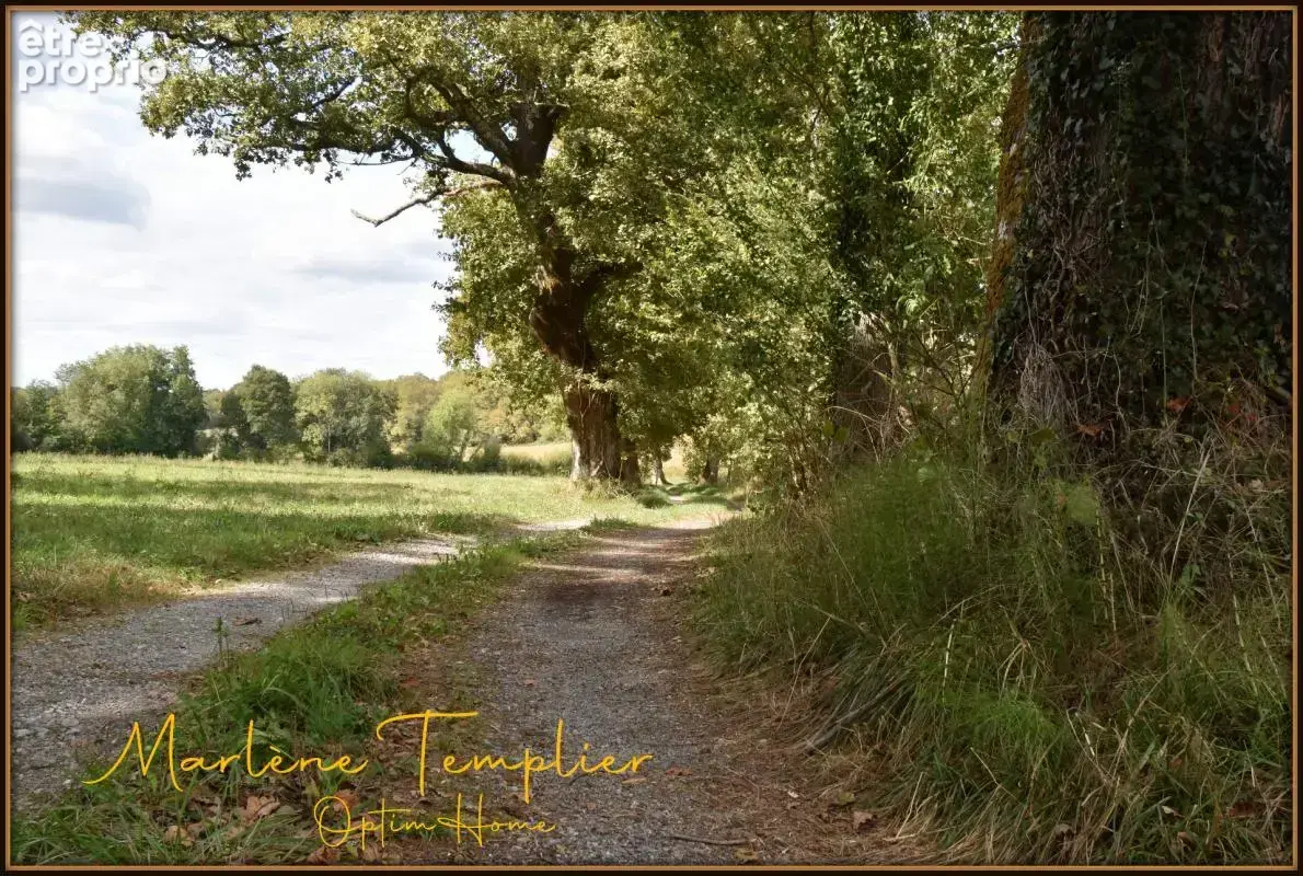 Authentique clos béarnais de 1816 - Lucq de Béarn - photo 39