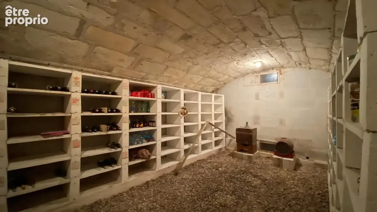 Maison traditionnelle plain pied noyer sur cher (41) - photo 12
