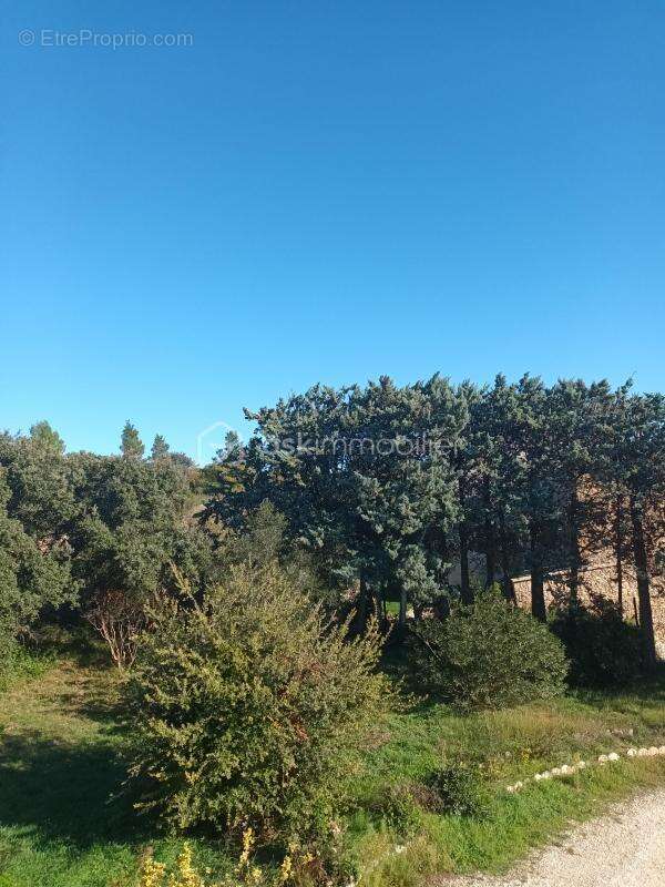 Maison à SAINT-HILAIRE-D&#039;OZILHAN