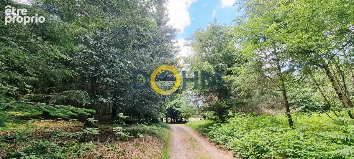 Propriété d'exception au cœur du Haut-Forez - photo 22