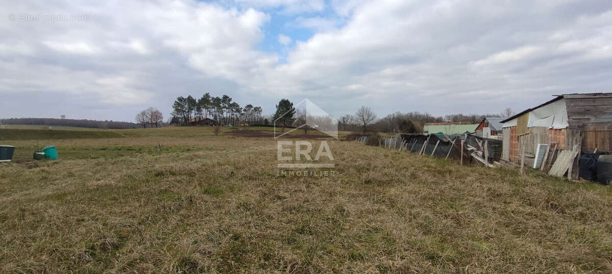 Terrain 3607m² à montpon-ménestérol - photo 3