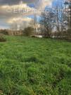 Terrain à CHAUVIGNY
