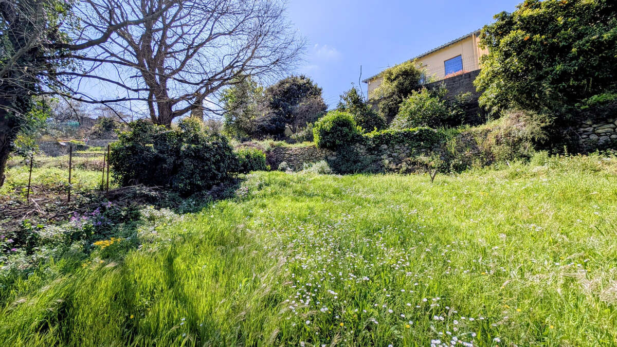 Maison à LAROQUE-DES-ALBERES