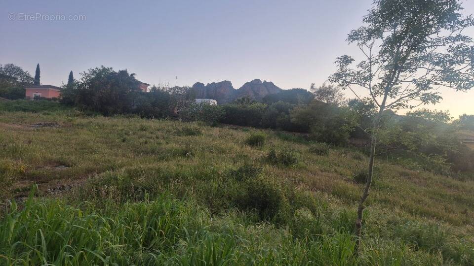 Terrain à ROQUEBRUNE-SUR-ARGENS