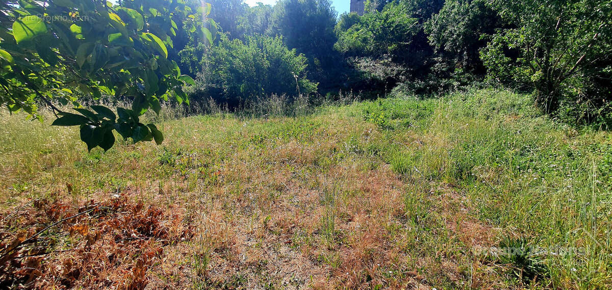 EN EXCLUSIVITÉ  Terrain constructible de 990 m² à proximité du centre du village - photo 3
