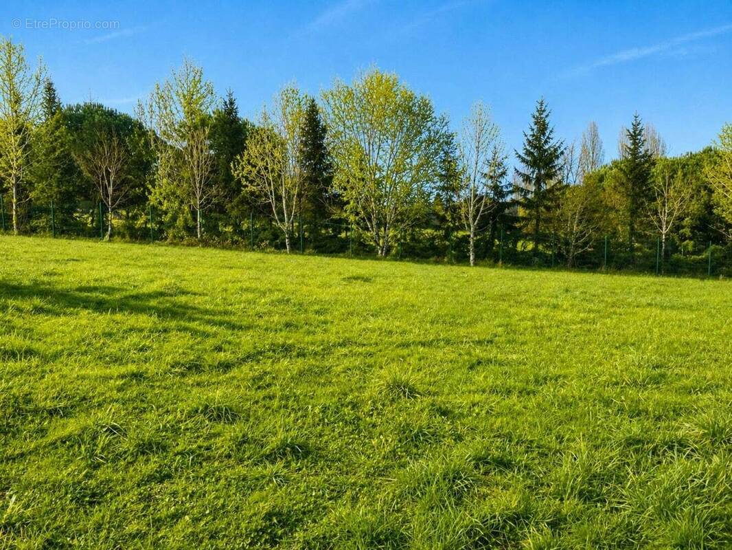 Terrain à MENSIGNAC