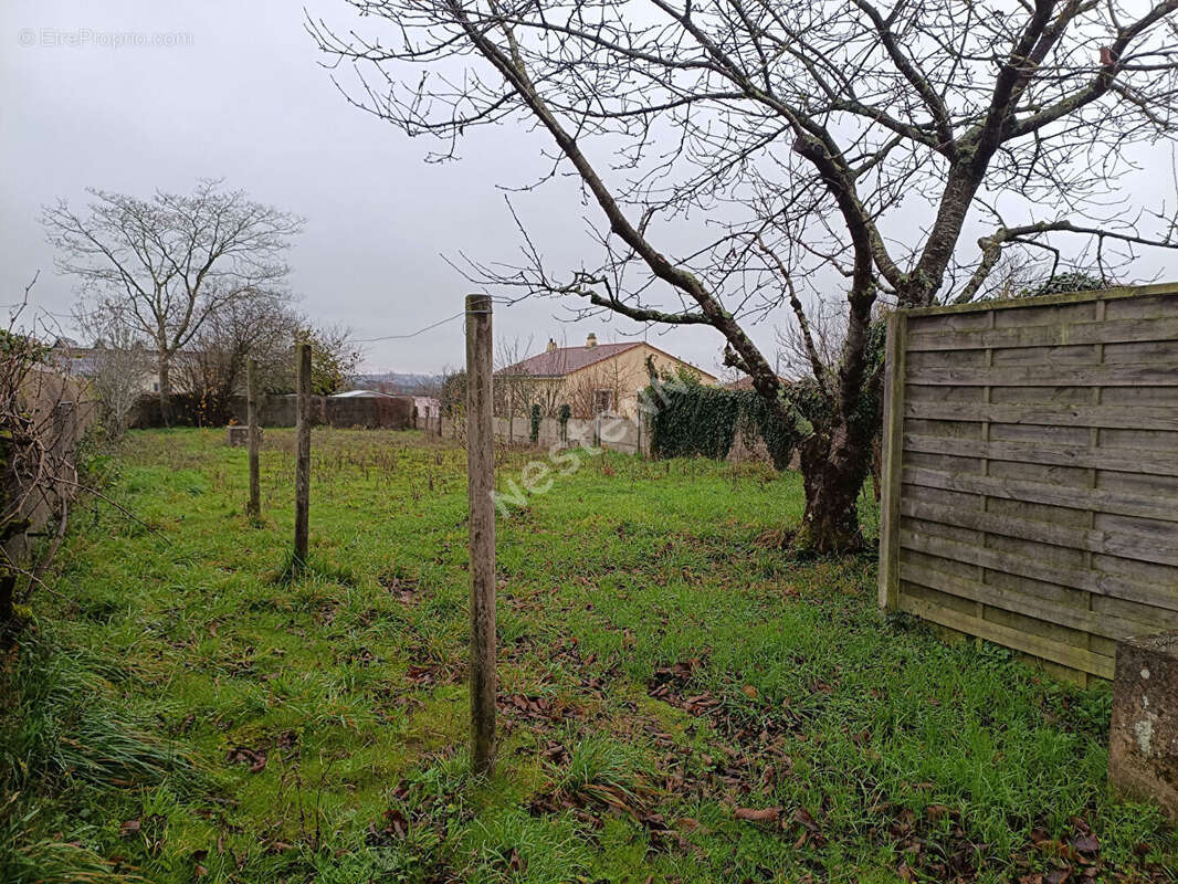 Maison en pierre familiale à vendre dans le bourg de commune de la Chaussaire - photo 17