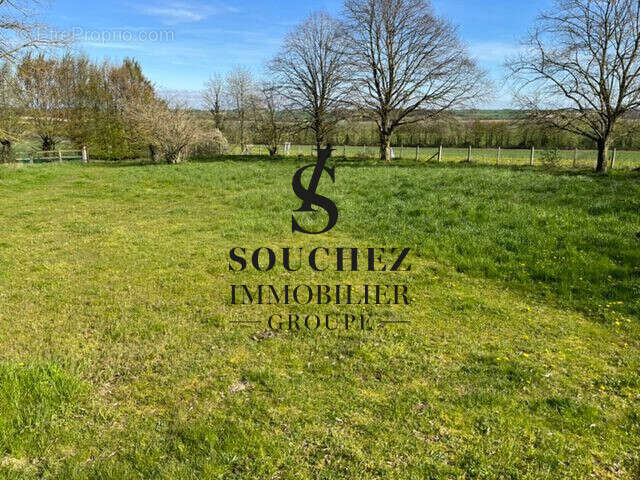 Terrain à HAUTEVILLE