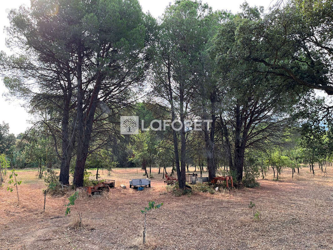 Terrain à LAROQUE-DES-ALBERES