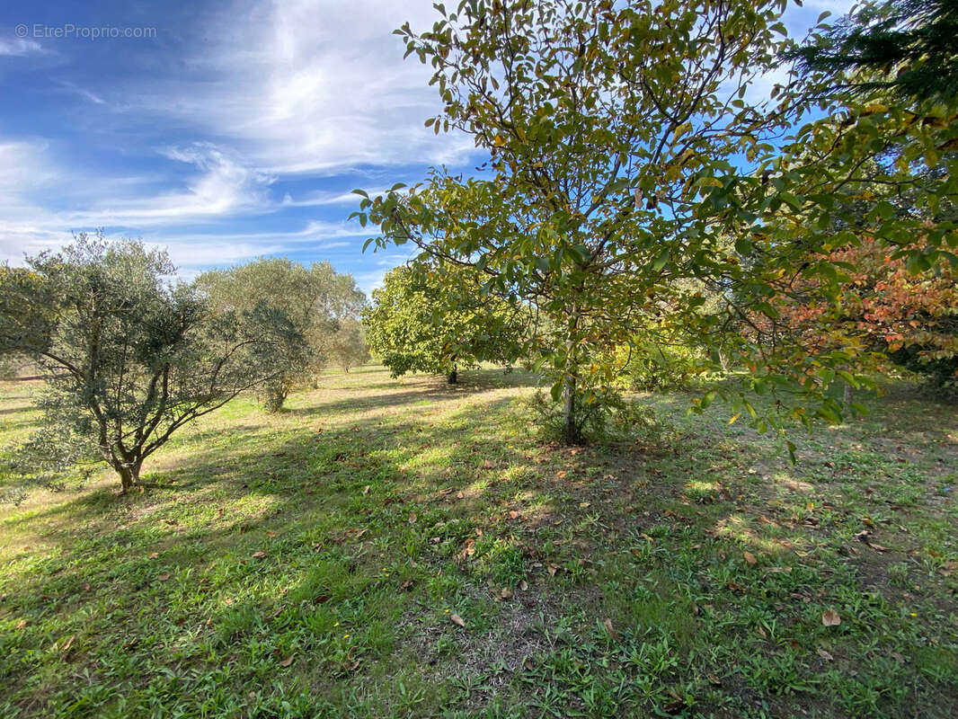 Terrain à CABRIES