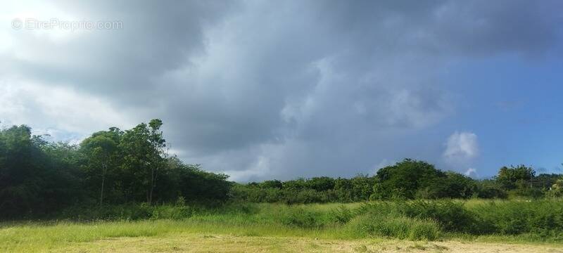 Terrain à SAINT-FRANCOIS