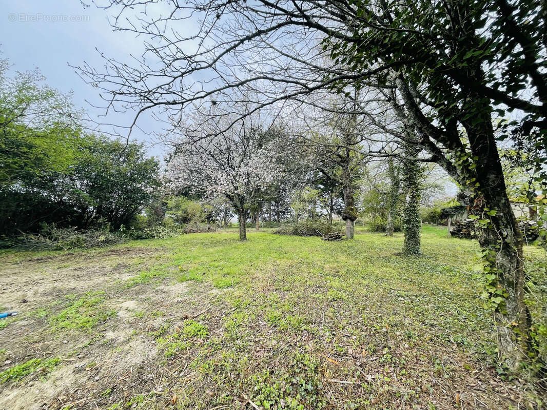 Terrain constructible - photo 2