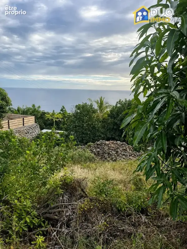 Terrain à SAINT-LEU