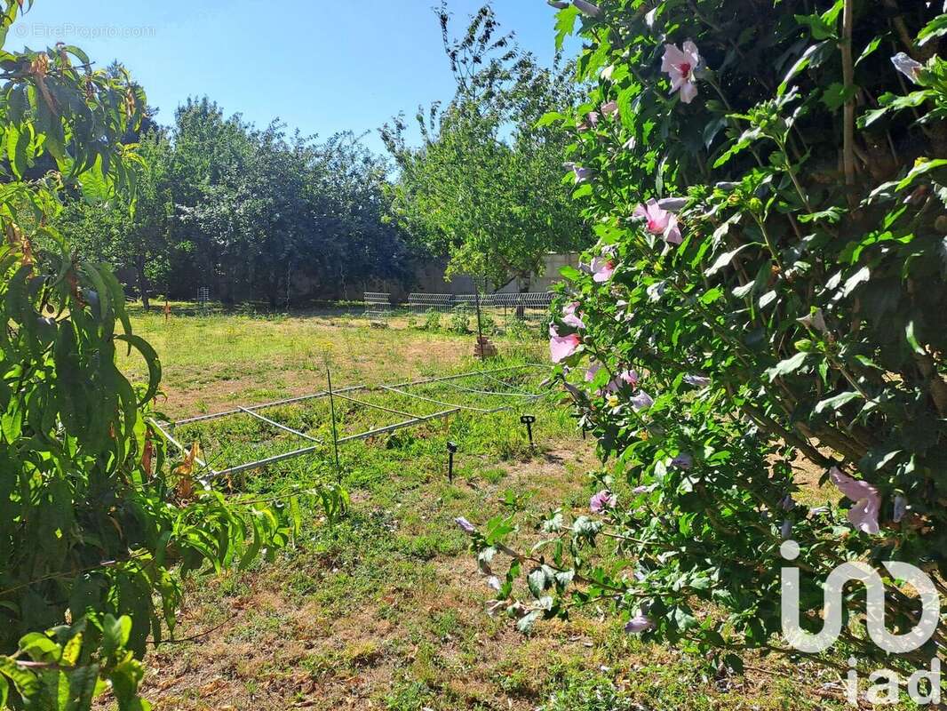 Photo 4 - Maison à ARVERT