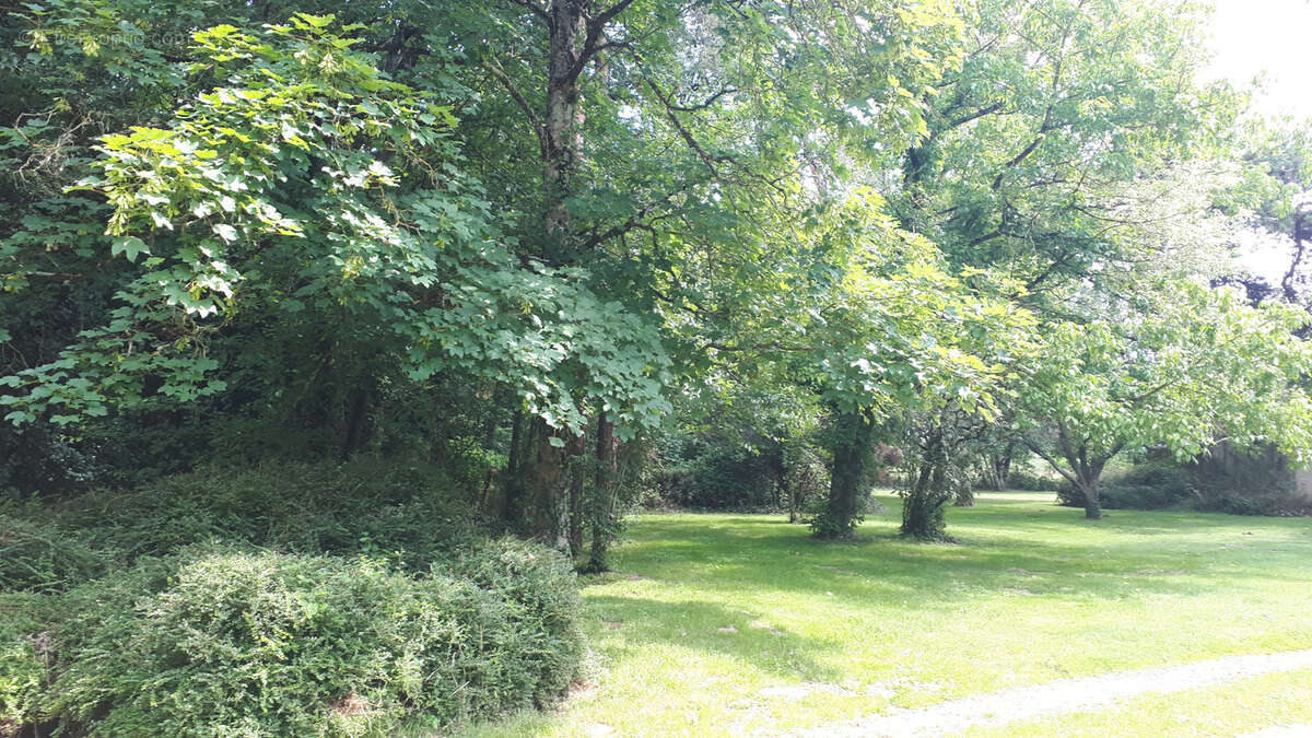 Maison à SAINTE-MAURE-DE-TOURAINE