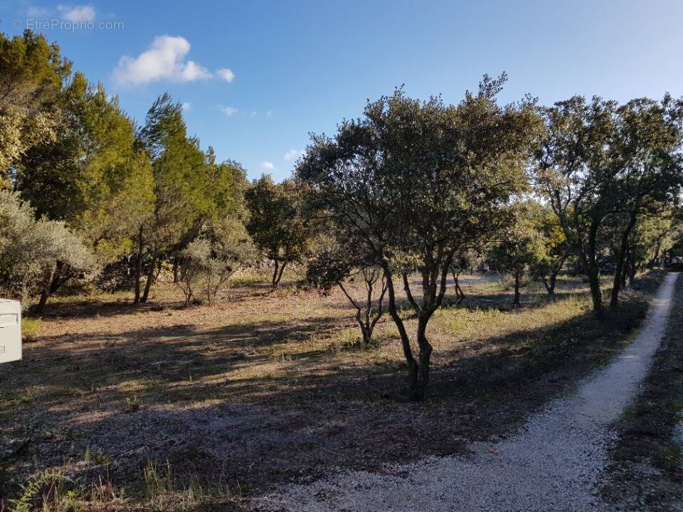 Terrain à SAINT-RESTITUT