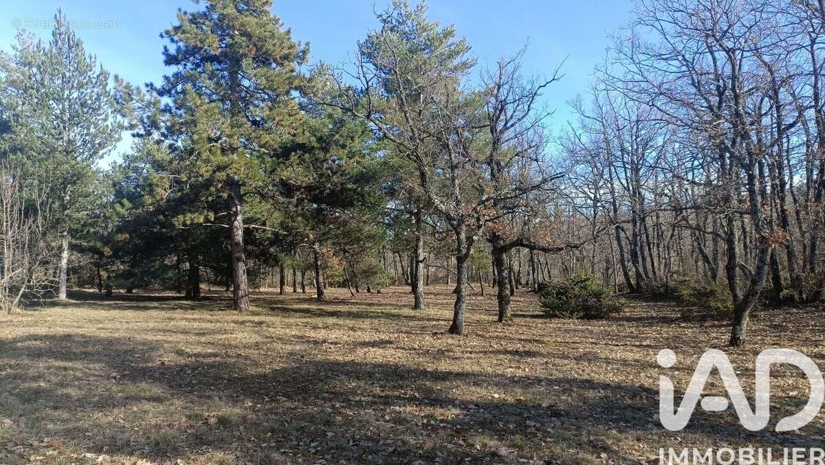 Photo 2 - Maison à SAINT-CHRISTOL