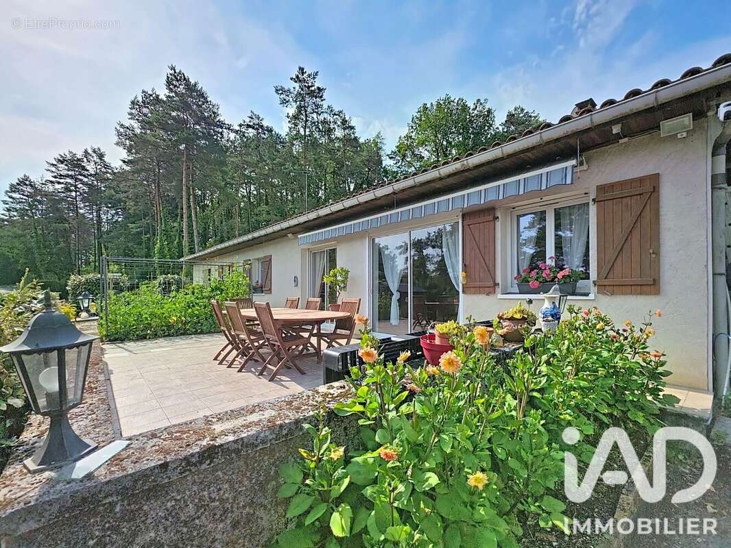 Maison 300 m² à Saint-Martin-Le-Pin  - photo 3