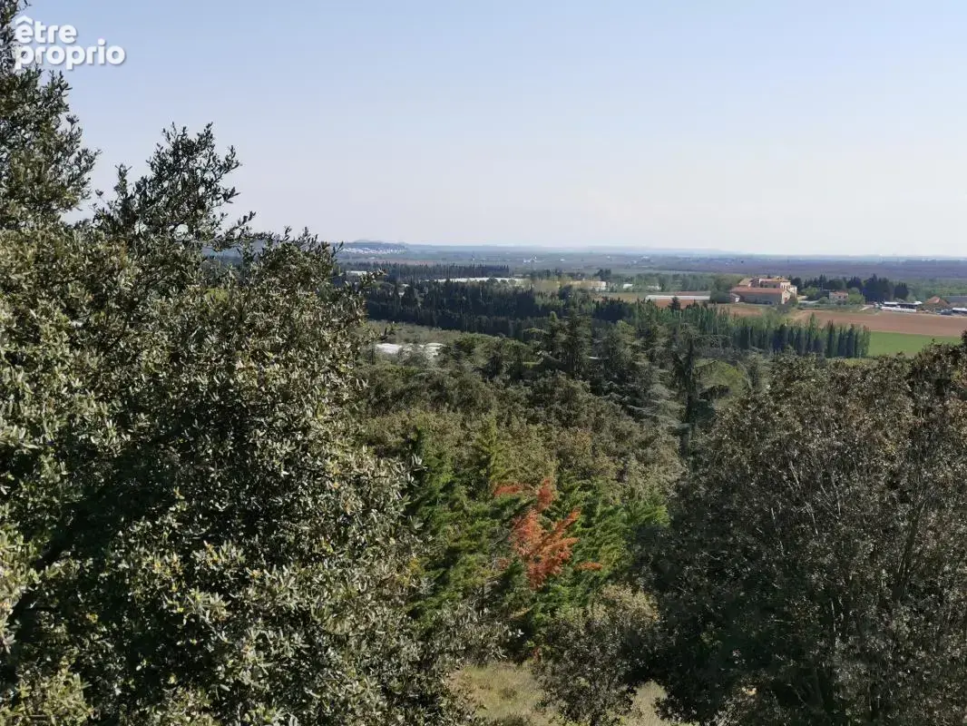 Propriété de caractère à Saint-Gilles avec vue panoramique sur les Alpilles - 350 m² sur 8 74 - photo 10