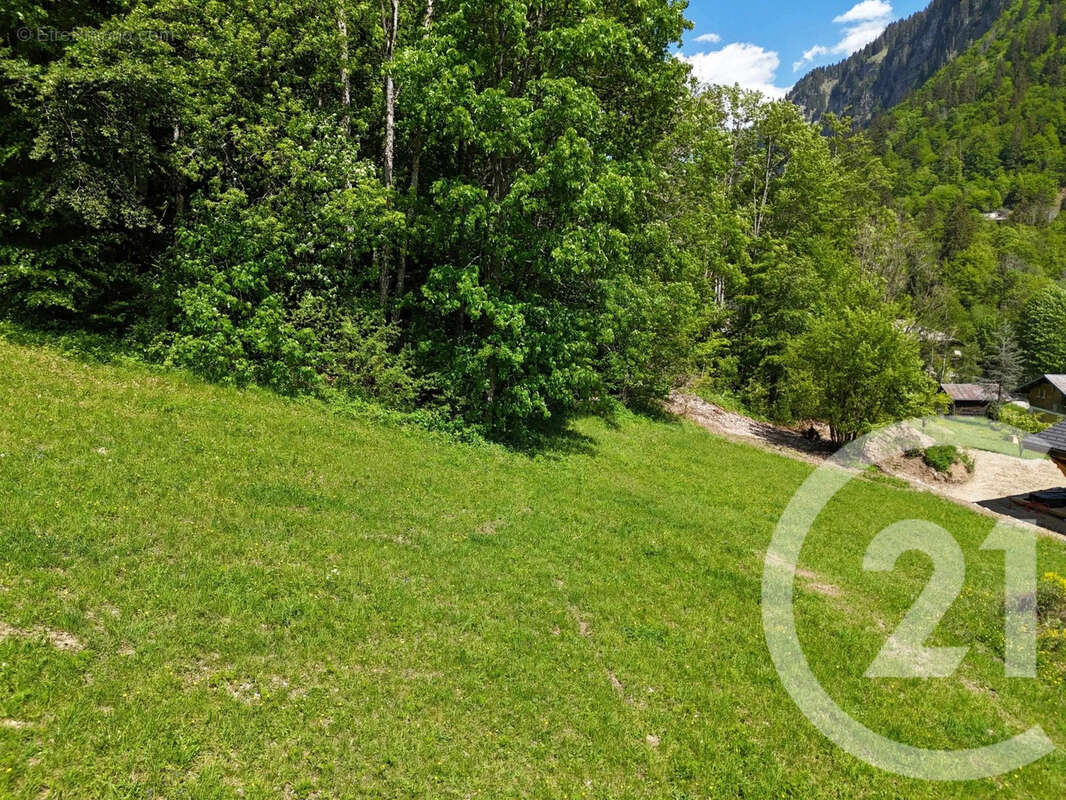 Terrain 1056 m² à Montriond  - photo 7