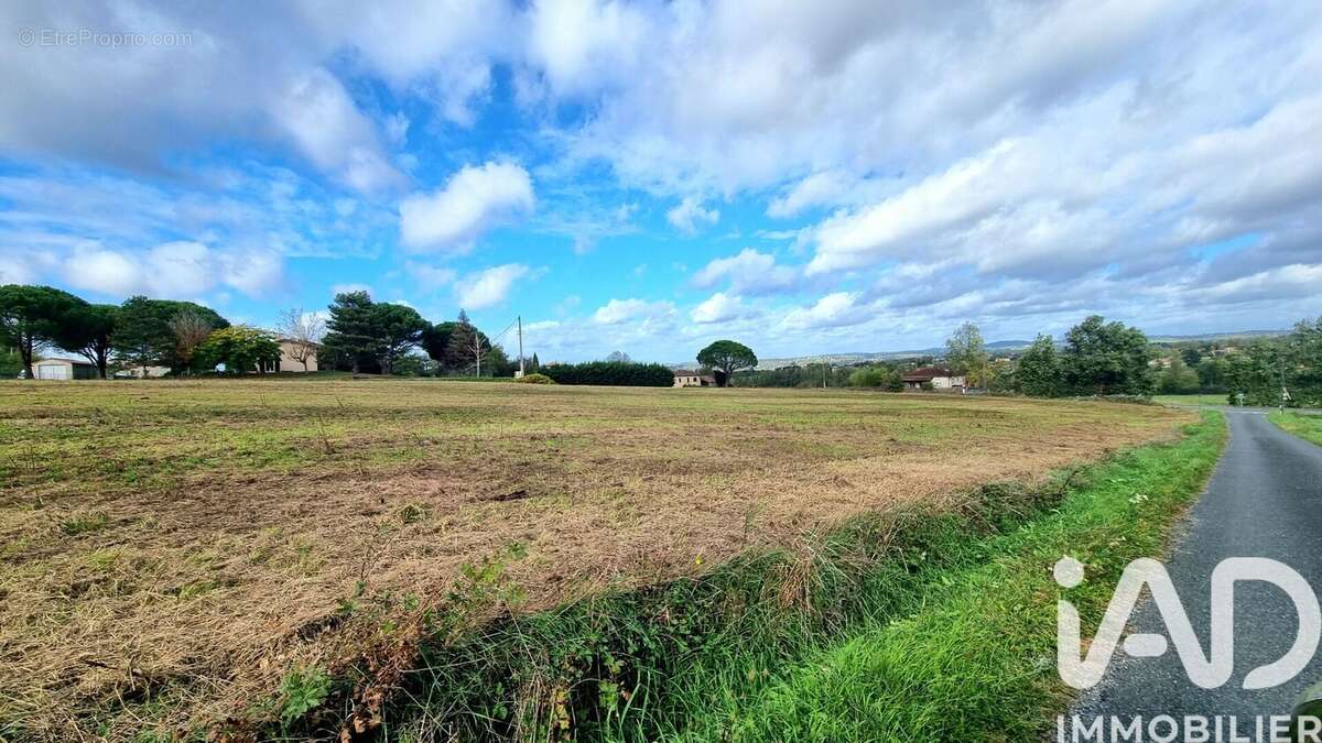 Photo 2 - Terrain à ALBI