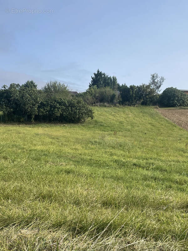 Terrain 2680 m² à Aurignac  - photo 3