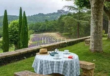 Domaine au coeur du Lubéron - photo 14