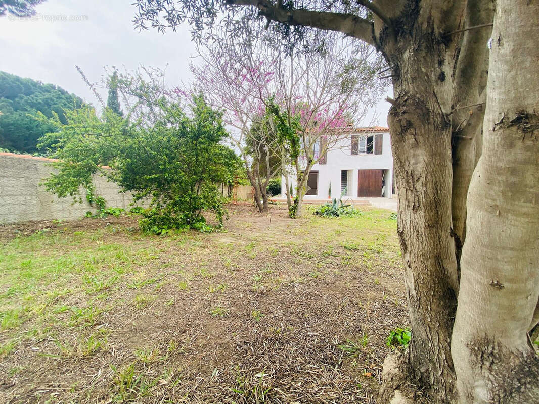 Maison à SAINT-LAURENT-DE-LA-SALANQUE