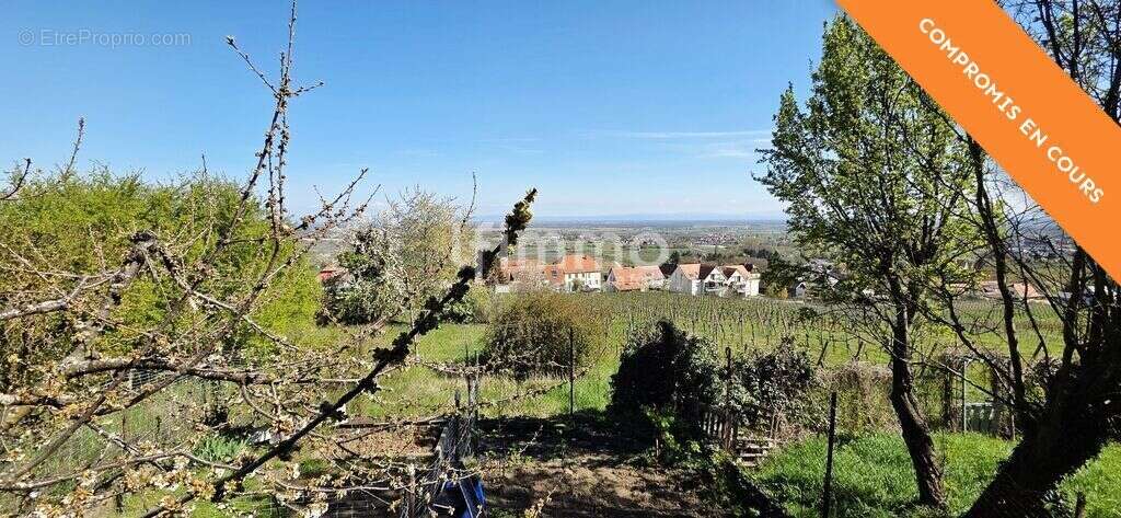 Maison à rénover à Heiligenstein – Vue vignes et fort potentiel - photo 11