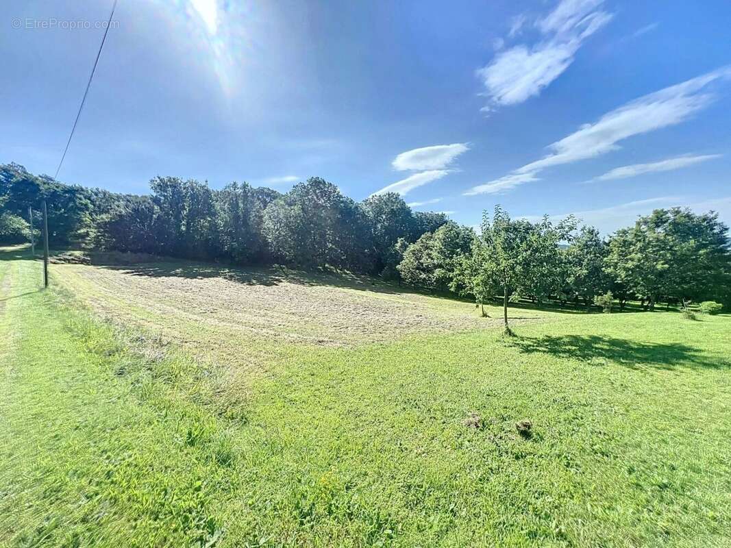 Terrain à COUX-ET-BIGAROQUE