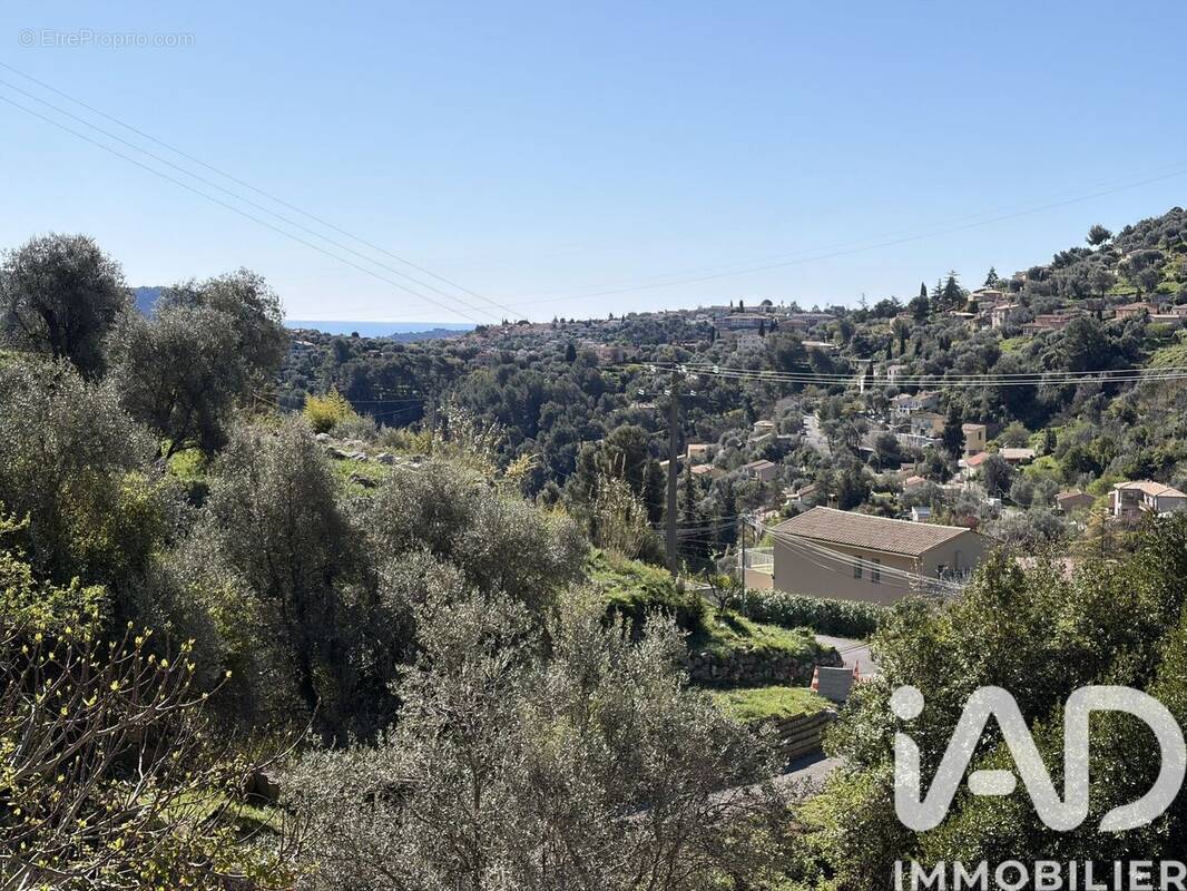 Photo 1 - Maison à FALICON