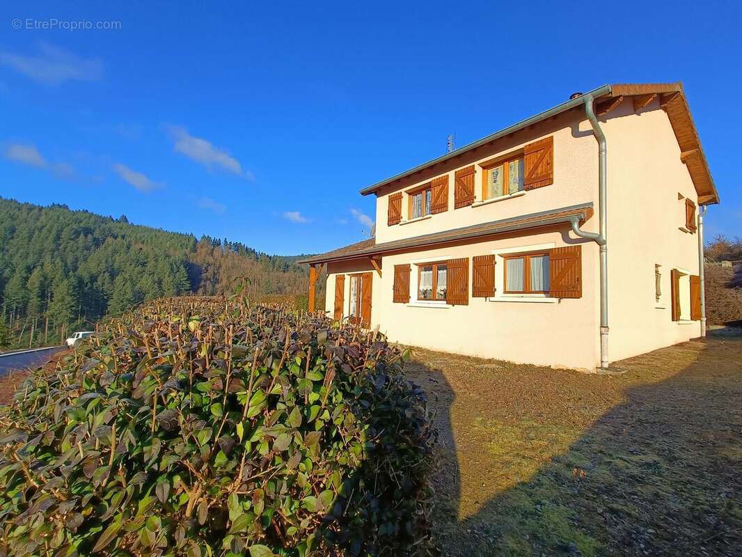 Photo 2 - Maison à CUBLIZE