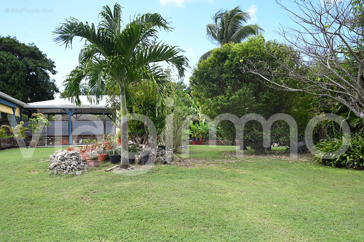 Maison à SAINTE-ANNE