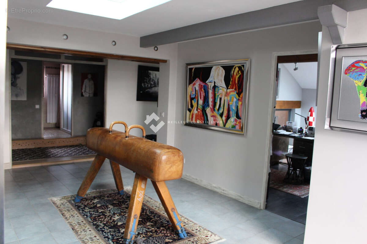 Maison 470 m² à Arthaz-Pont-Notre-Dame  - photo 4