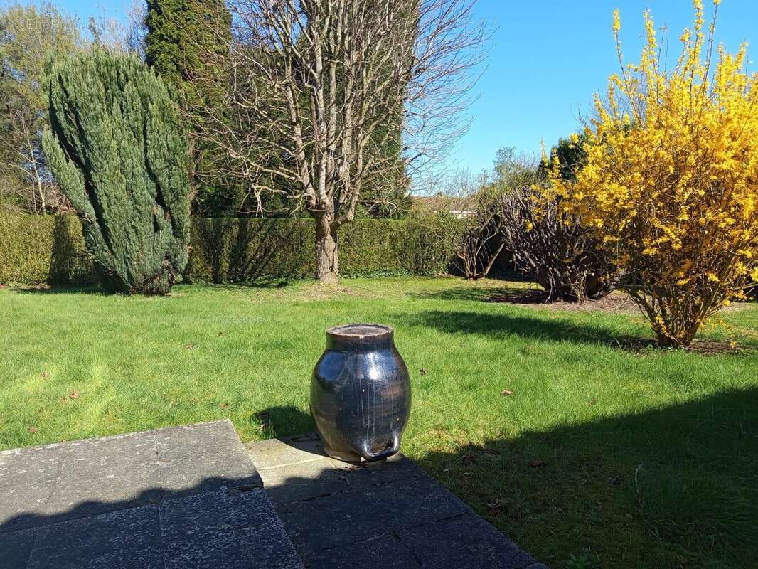 Maison à LAMBERSART