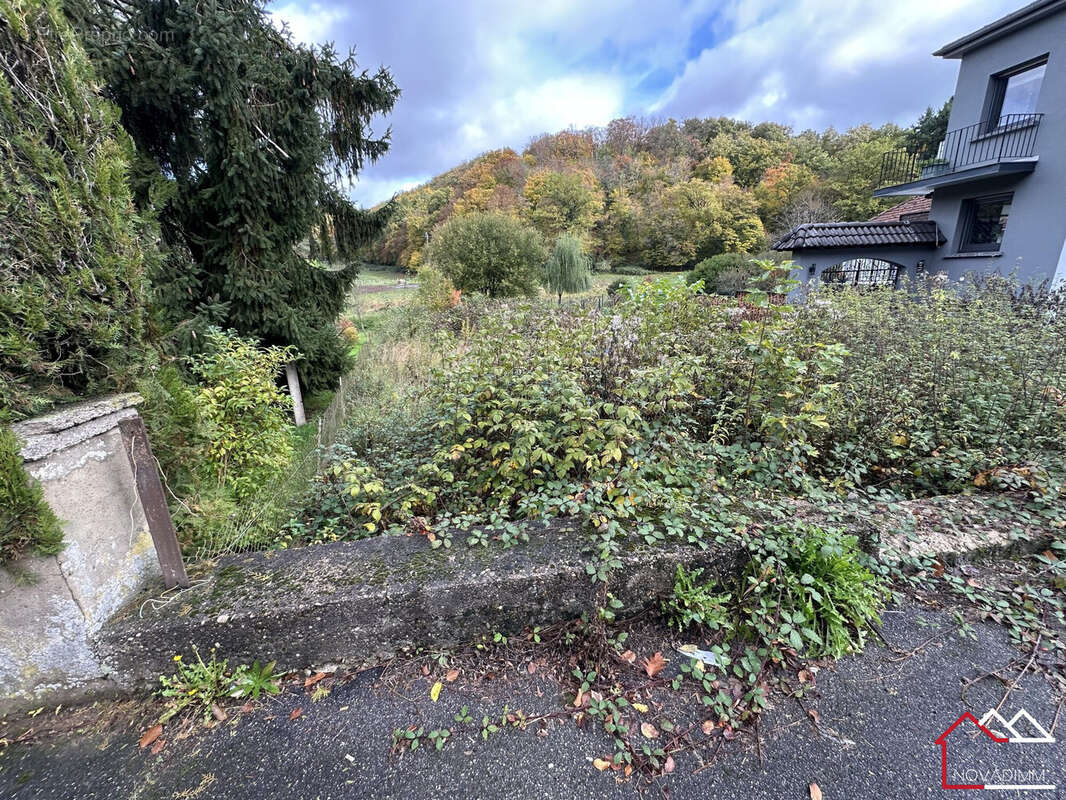 Terrain à MACHEREN