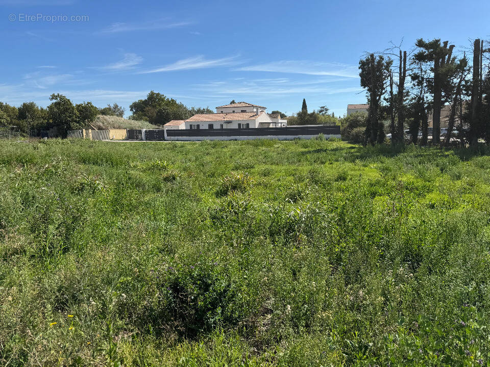 Terrain à AVIGNON