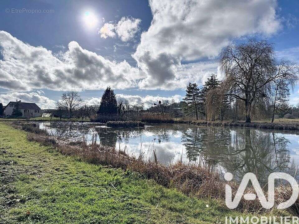 Photo 4 - Maison à SAINTE-MENEHOULD