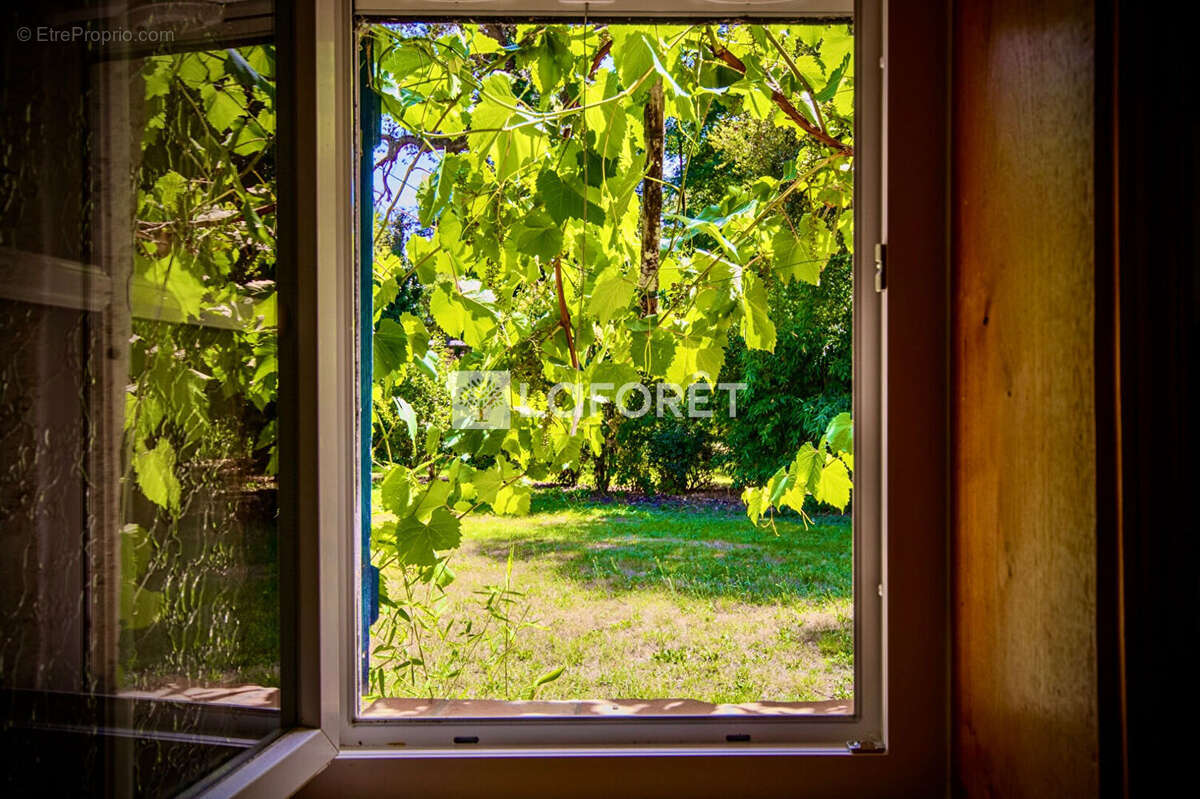 Maison à CASTELJALOUX